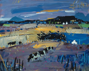 Evening, Wester Ross